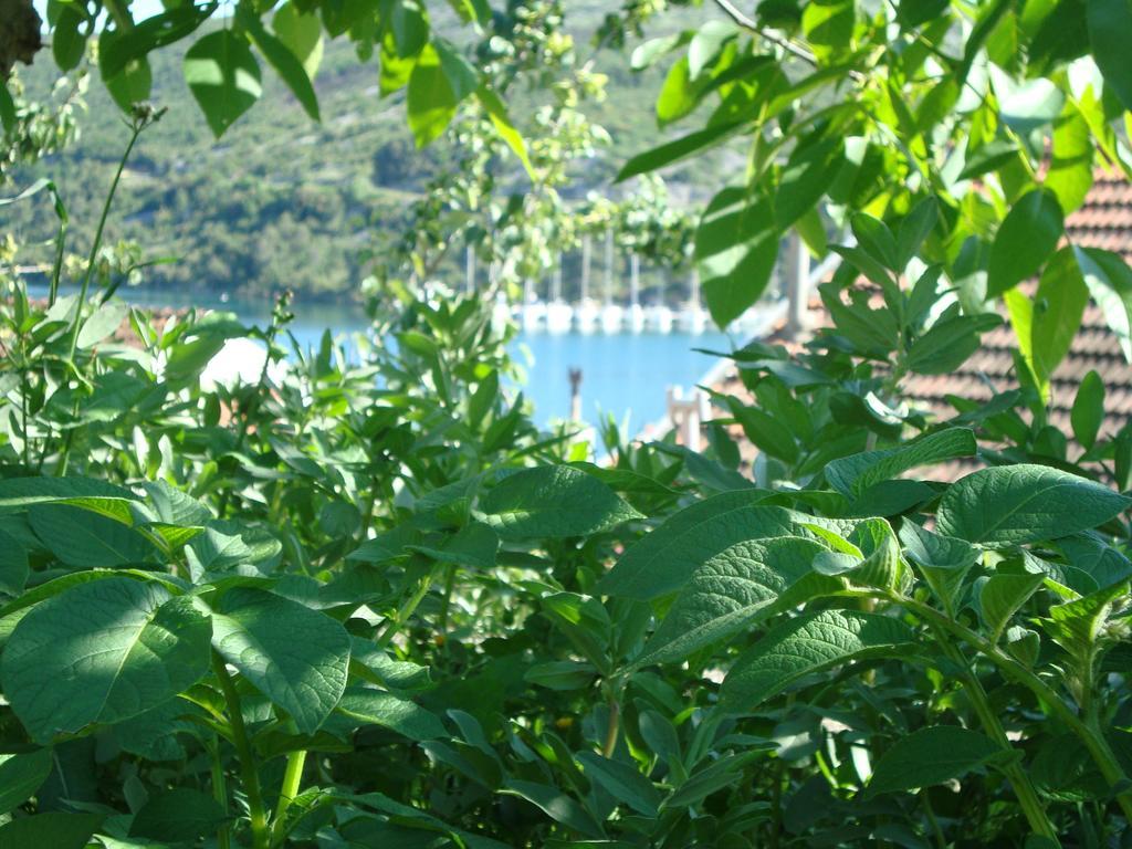 Apartment Josipa Zaton  Εξωτερικό φωτογραφία